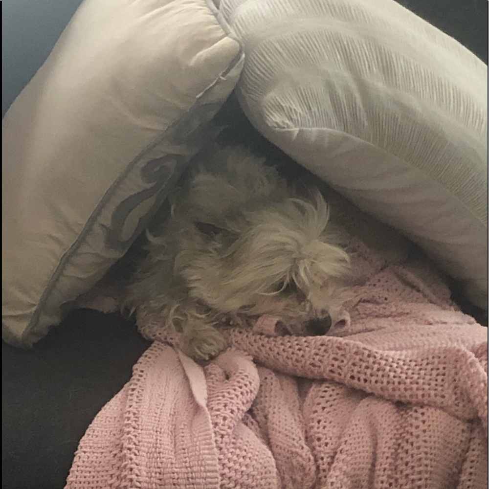 Meet your Posher, Karen